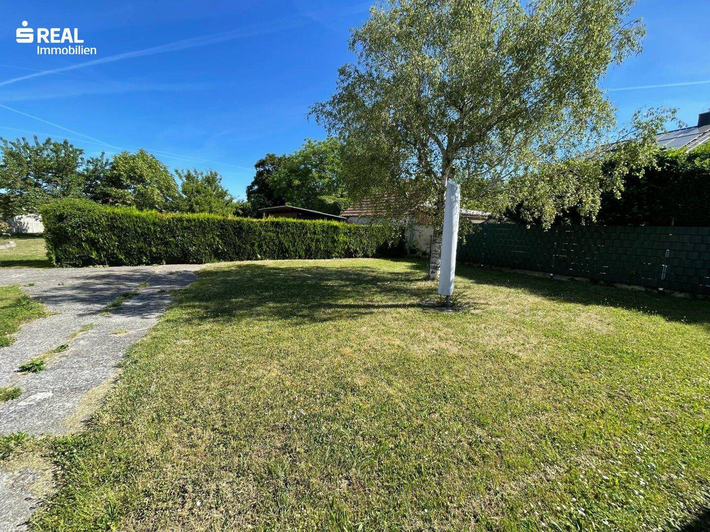 Grüner Gartenbereich mit einem Baum, einer dichten Hecke und einem gepflasterten Zugangsweg.
