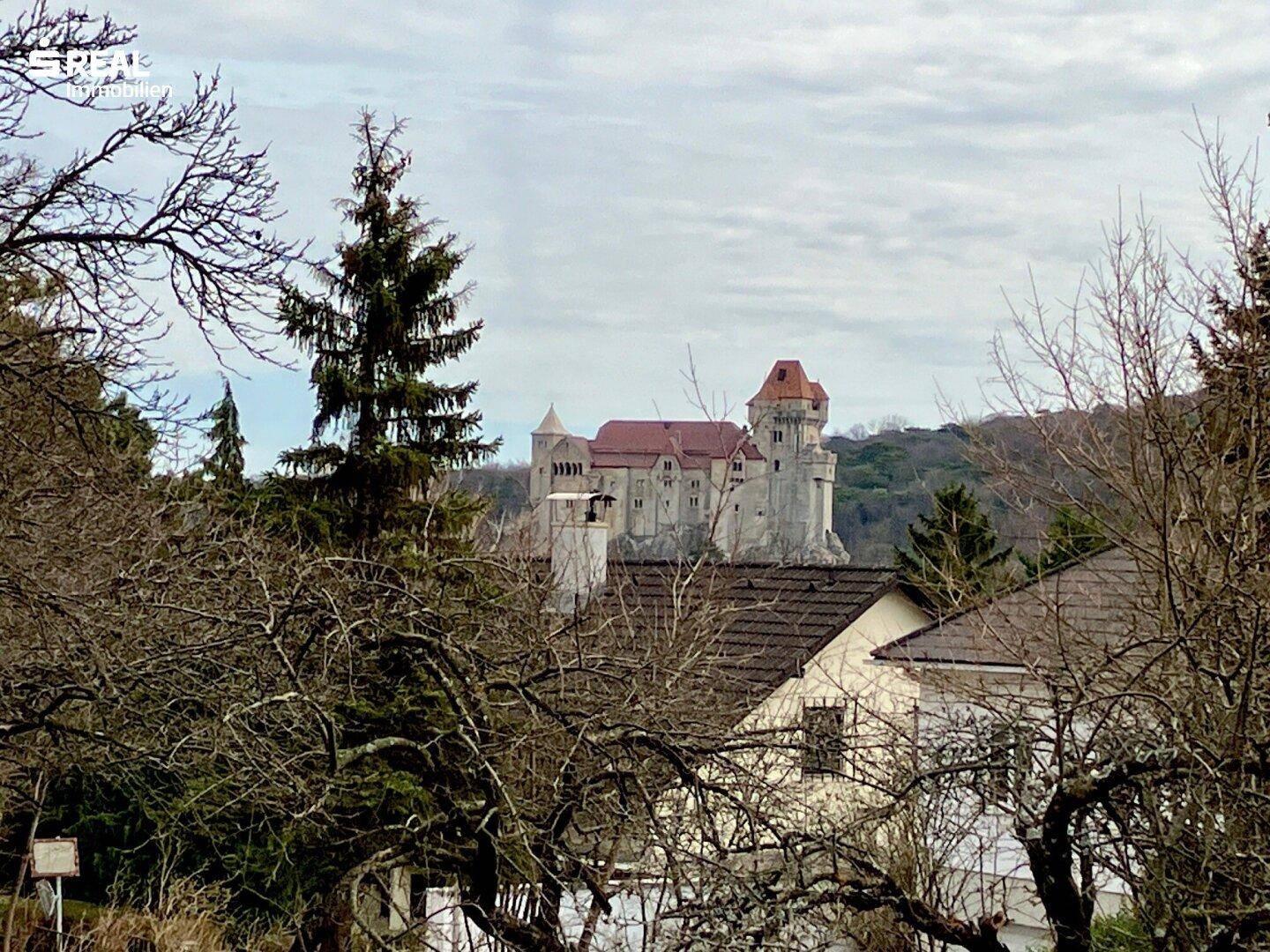 Blick auf eine historische Burg in der Ferne, umgeben von Bäumen und ländlicher Bebauung.