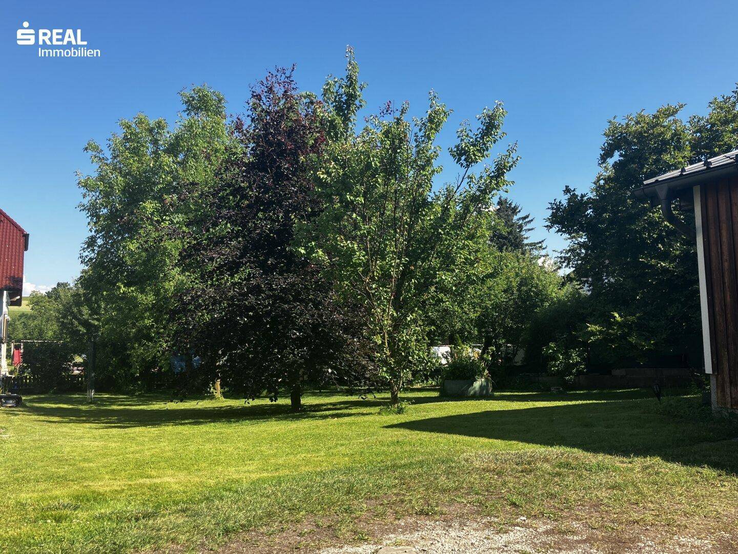 Großer, grüner Gartenbereich mit altem Baumbestand und viel Rasenfläche.