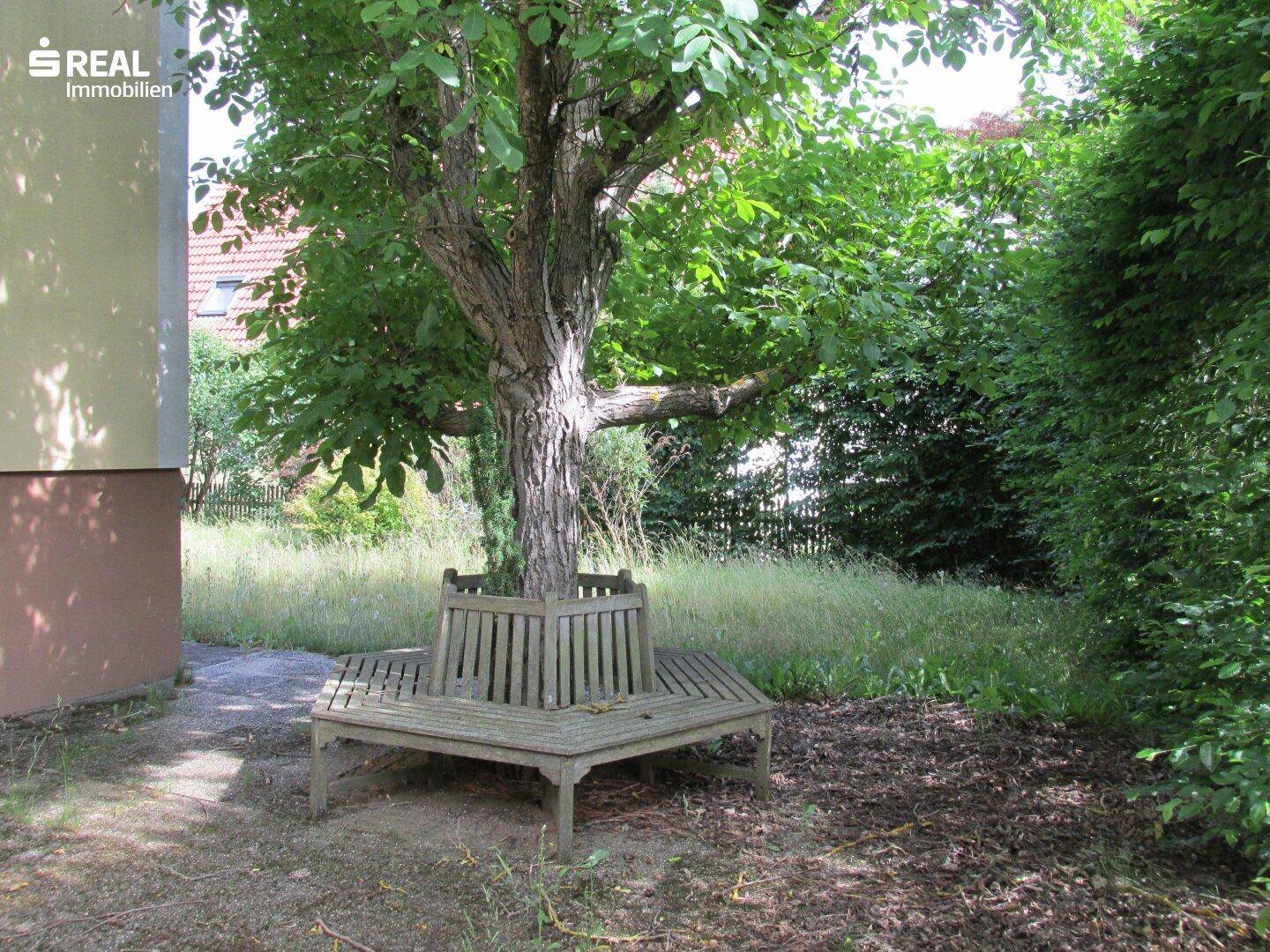 Idyllischer Gartenbereich mit altem Baum und einer runden Holzbank zum Entspannen.