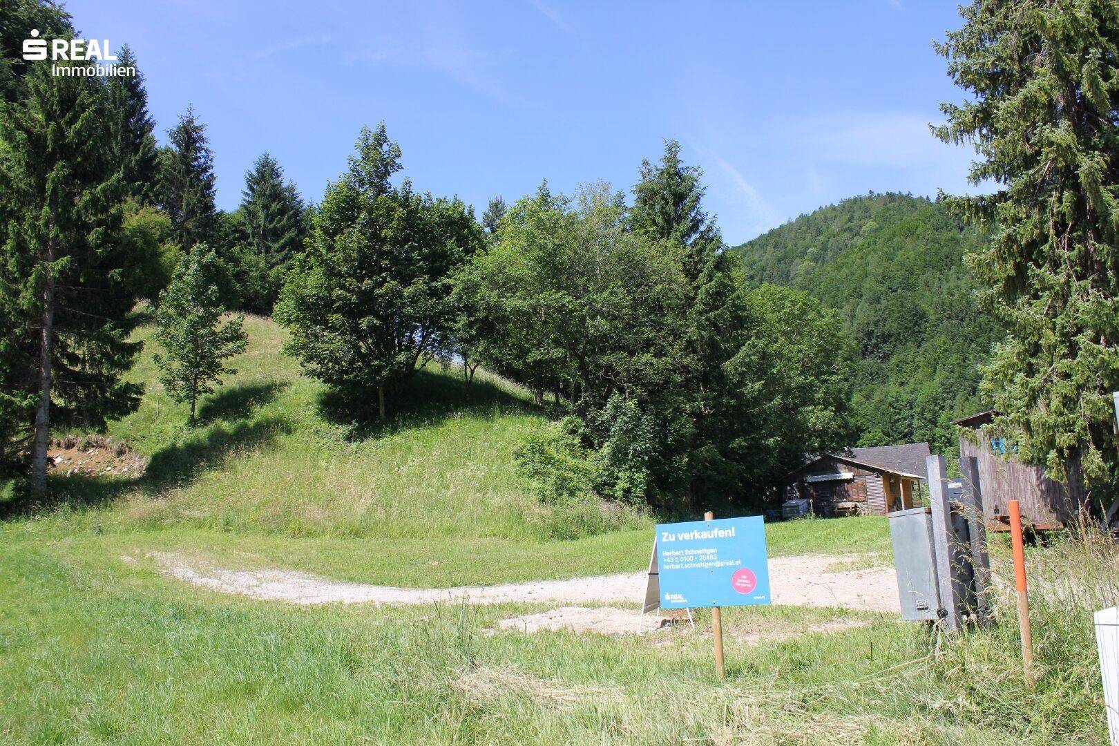 tolles Baugrundstück in 3264 Gresten - Ansicht 2