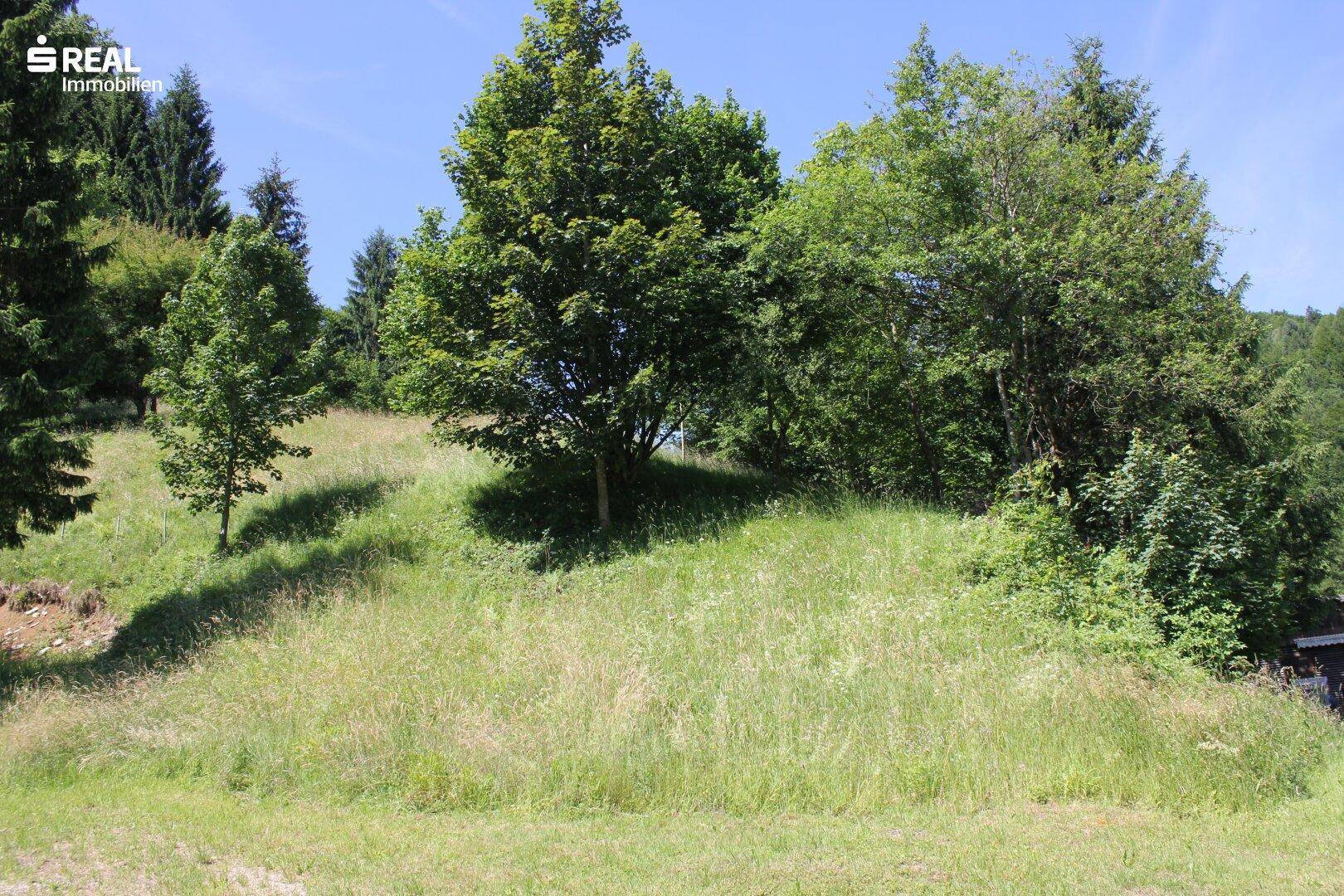 tolles Baugrundstück in 3264 Gresten - Ansicht 5