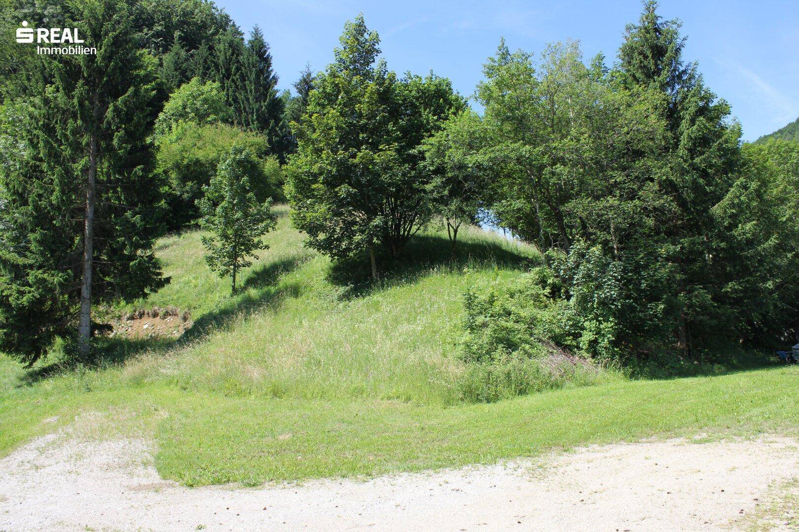 tolles Baugrundstück in 3264 Gresten - Mehr