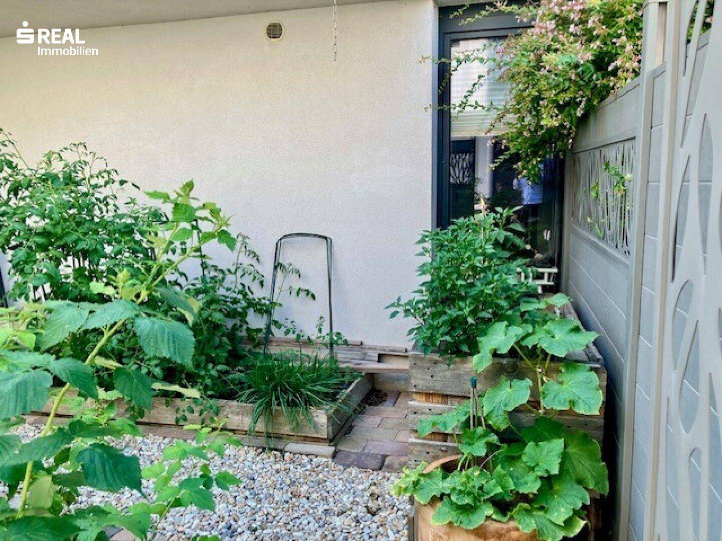 Hochbeete mit verschiedenen Pflanzen und Kräutern neben der Hauswand.