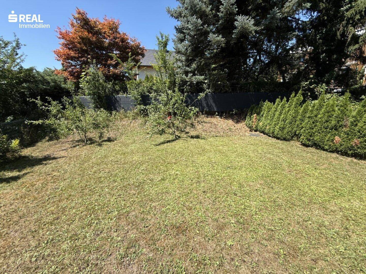Grüner Gartenbereich mit Rasenfläche, jungen Bäumen und Hecken, umgeben von weiterer Vegetation.