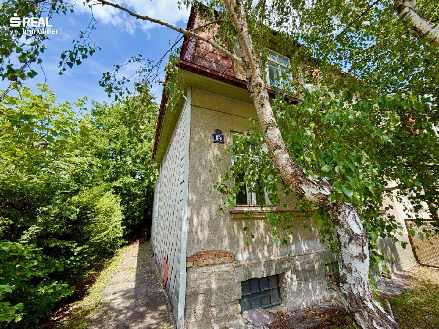 Seitenansicht des älteren Hauses mit einem großen Birkenbaum und einem Kellerfenster.