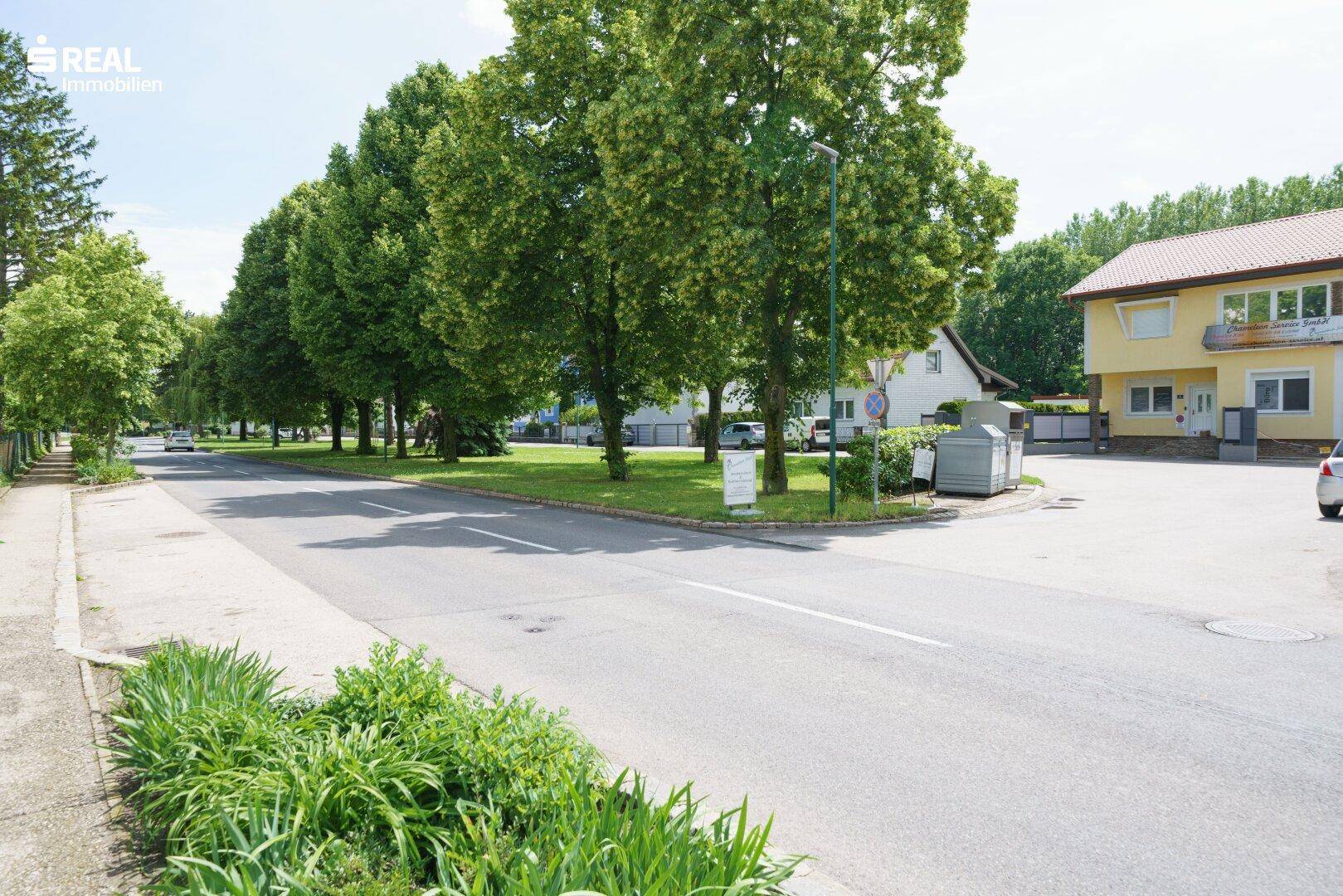 Straße mit Baumreihe, Grünstreifen und einem gelben Wohnhaus unter blauem Himmel.