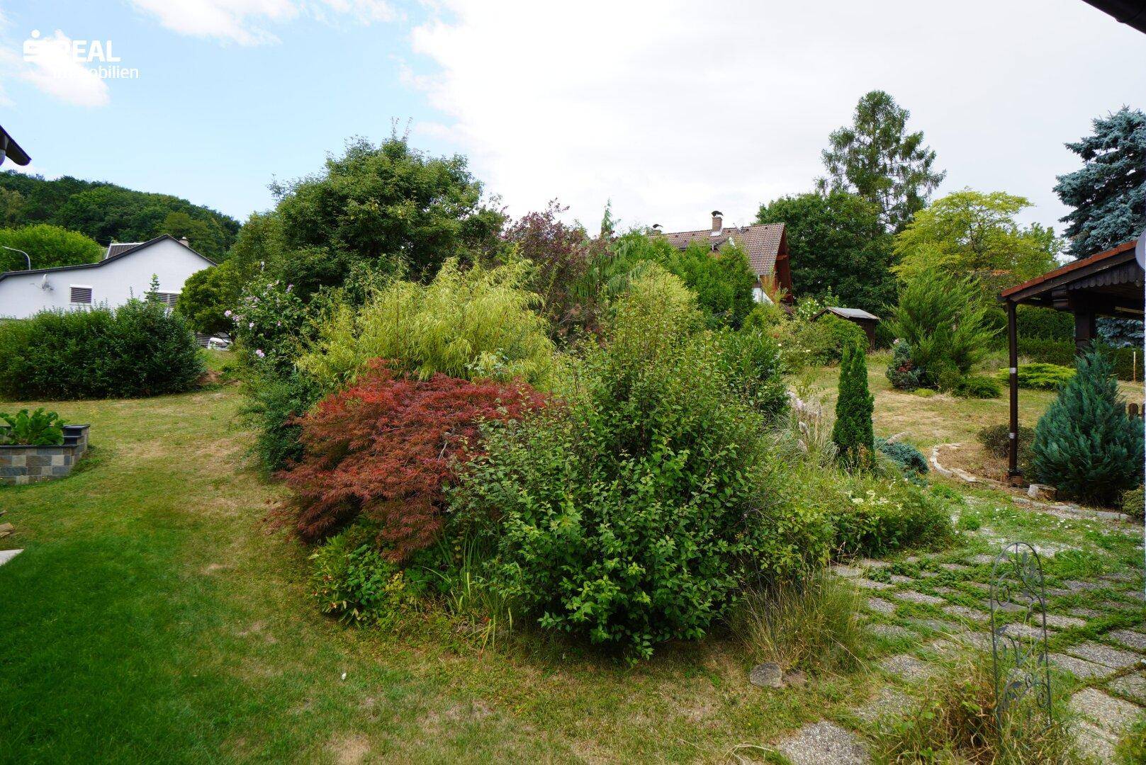 Vielfältiger Gartenbereich mit verschiedenen Sträuchern, Bäumen und einem gepflasterten Weg.