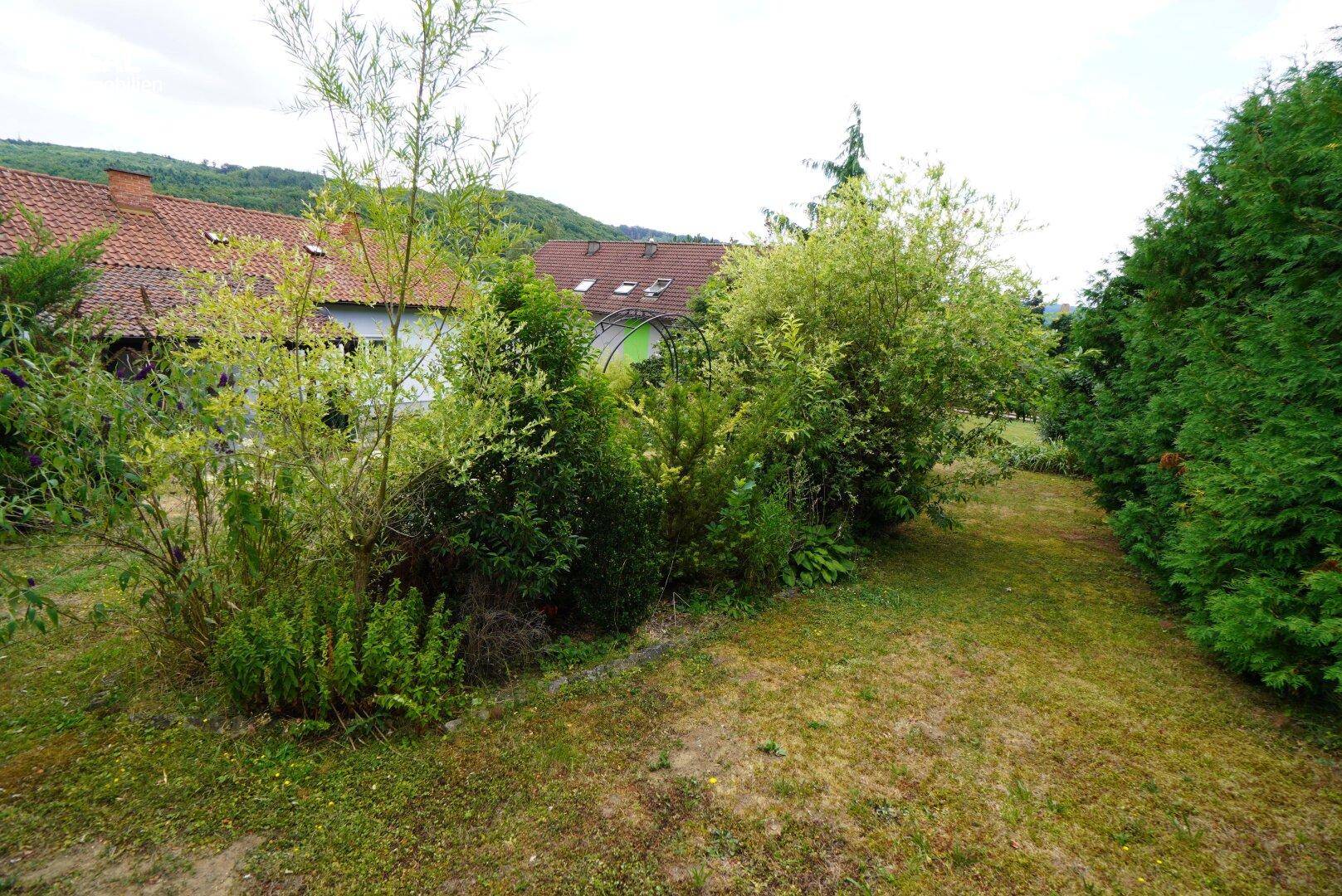 Gartenweg umgeben von üppiger Vegetation und hohen Hecken, die das Grundstück begrenzen.
