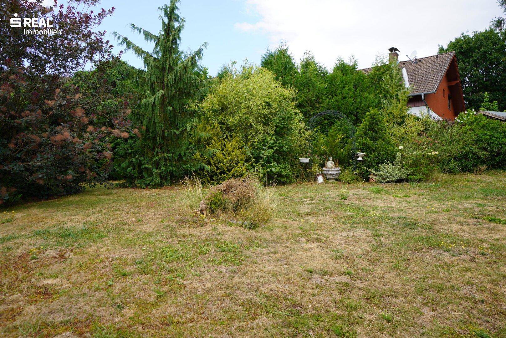 Weitläufige Rasenfläche im Garten mit hohen Bäumen und Sträuchern im Hintergrund.
