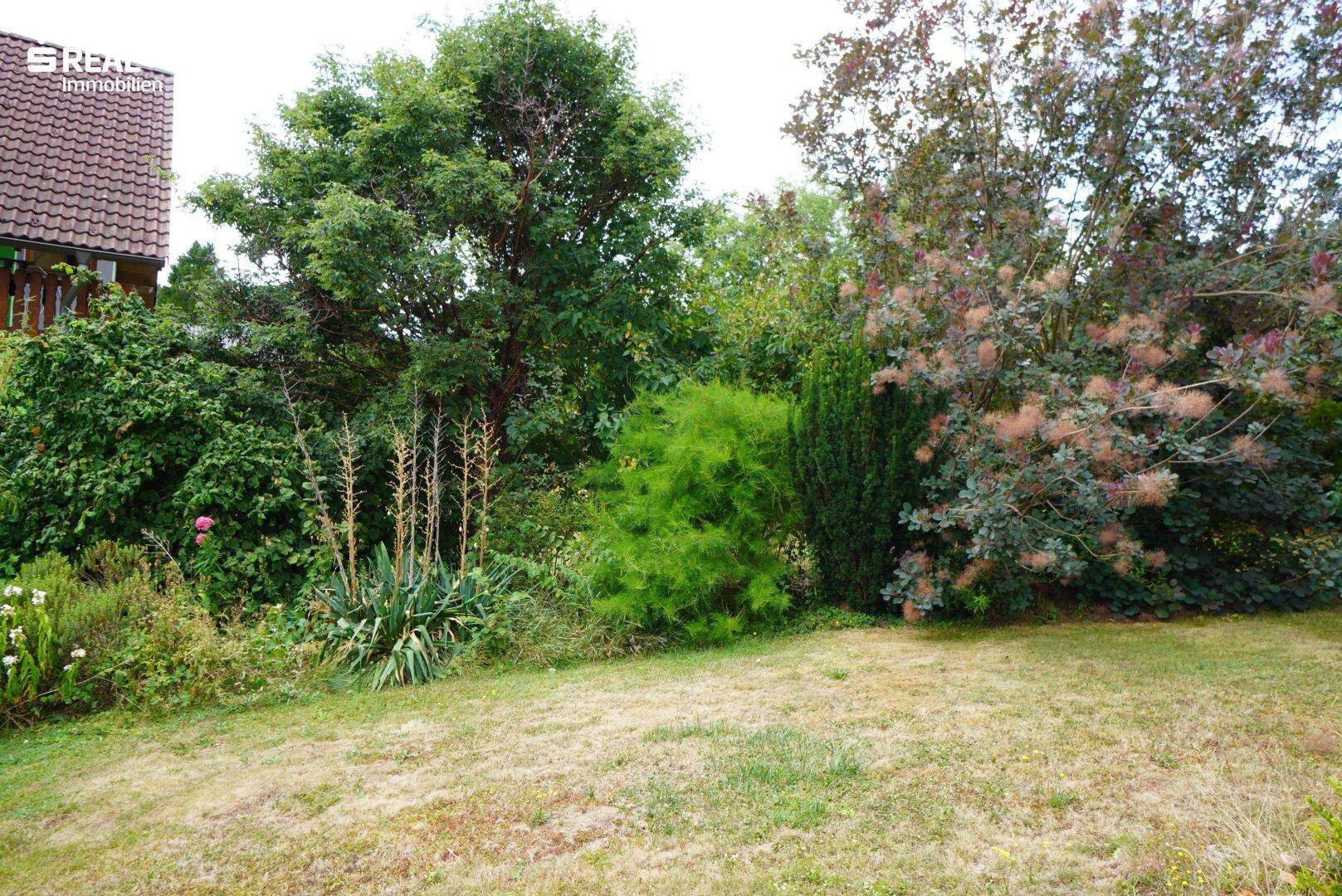 Bunter Gartenbereich mit verschiedenen Pflanzen, Sträuchern und Bäumen.