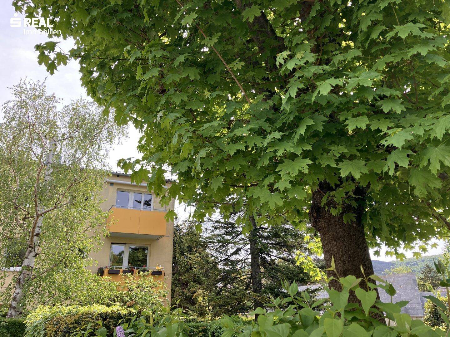 Gelbe Fassade eines Mehrfamilienhauses umgeben von üppigem Grün und Bäumen.