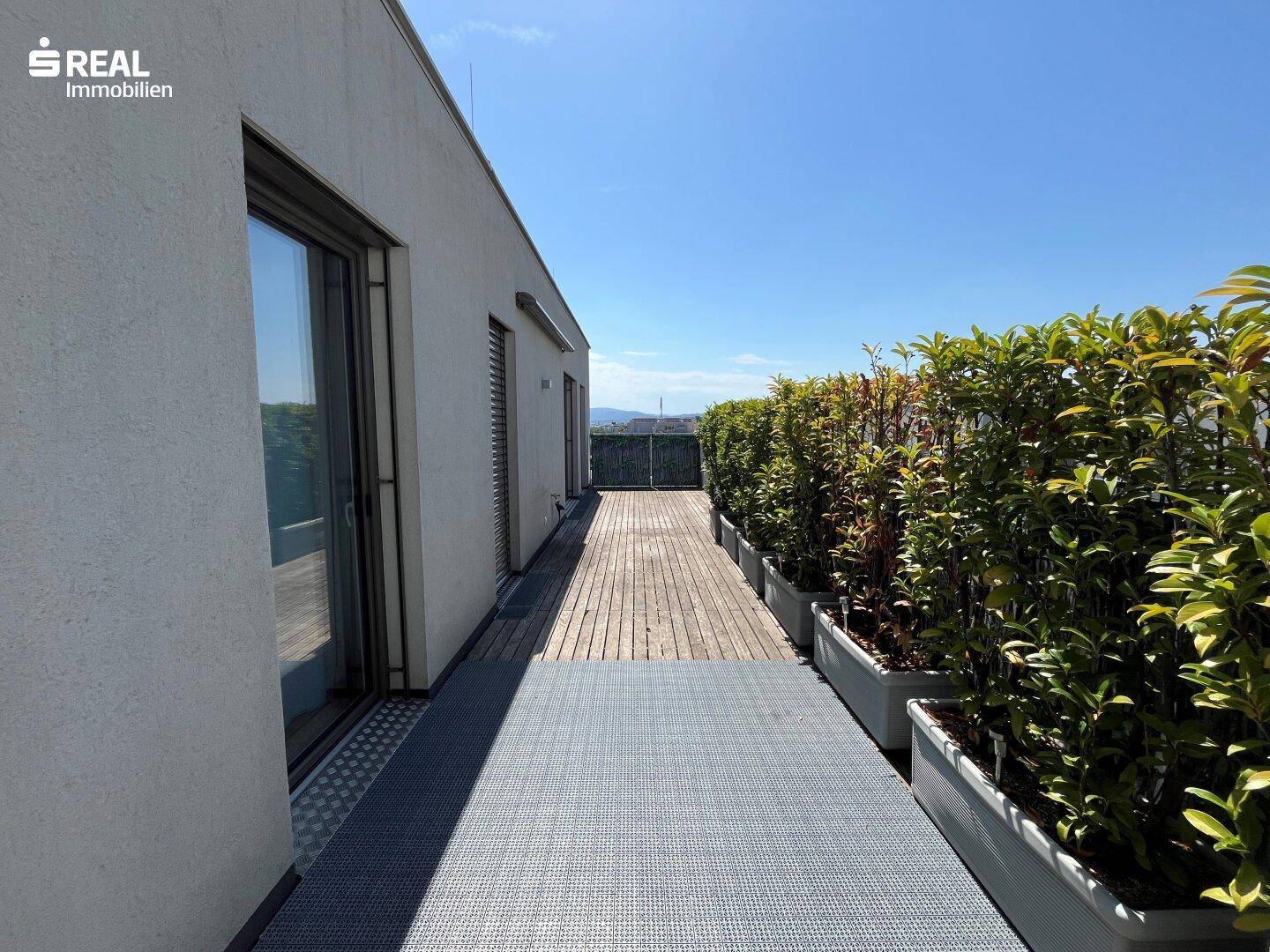 Sonniger Terrassenbereich mit Holzboden und grünen Pflanzenkübeln, bietet viel Privatsphäre.