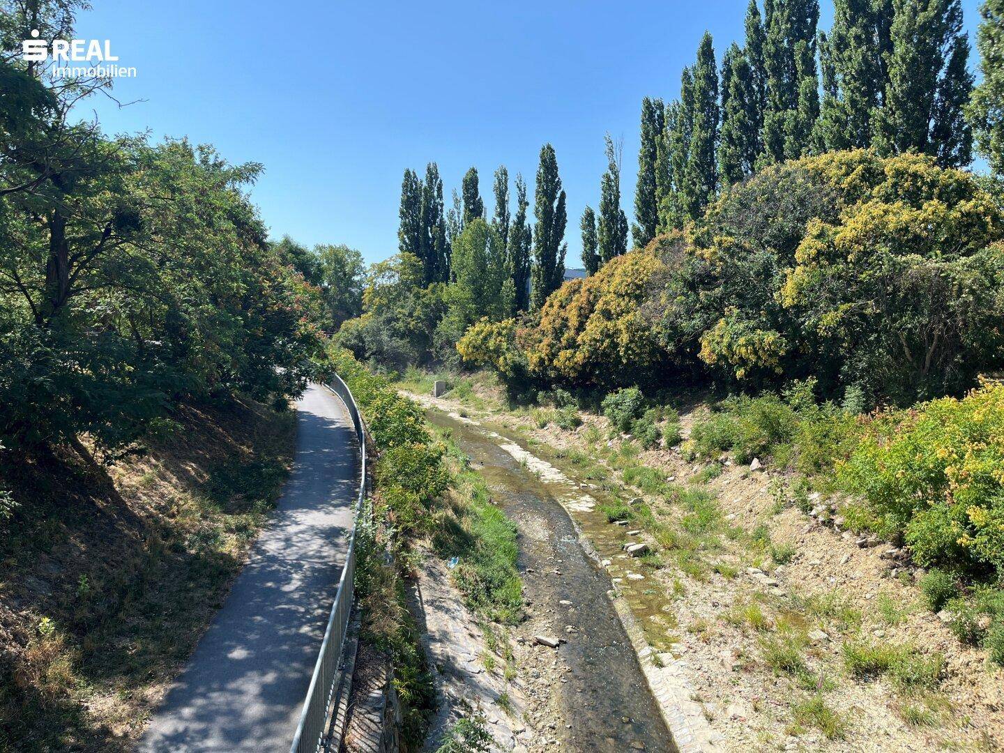 Natürliche Umgebung mit einem kleinen Bach und üppiger Vegetation.