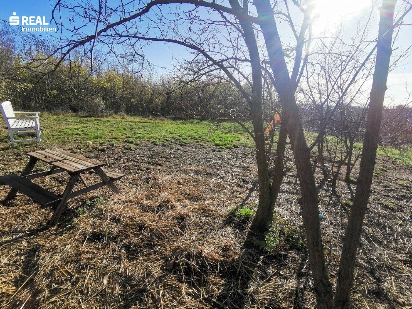 Naturbelassenes Gartengrundstück mit Picknicktisch und Bäumen unter blauem Himmel.