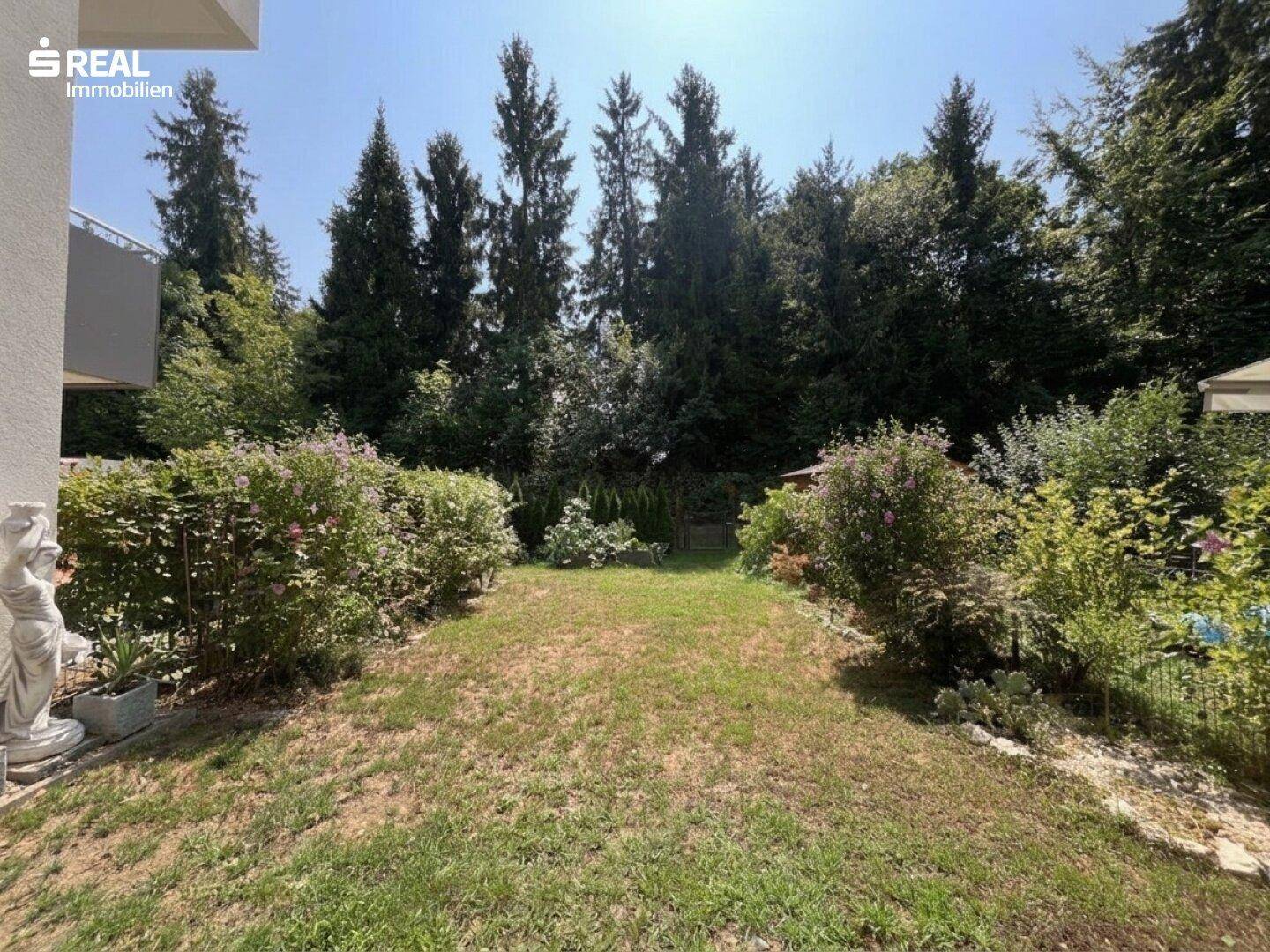 Gepflegter Gartenbereich mit Rasenfläche, Sträuchern und hohen Bäumen im Hintergrund.