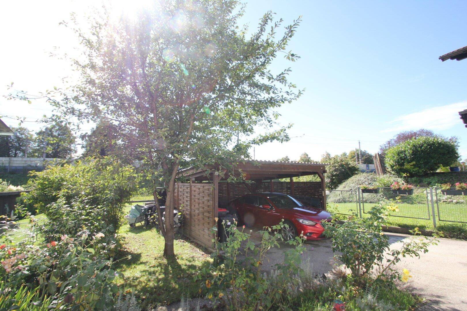 Carport und Einfahrt umgeben von Bäumen und Sträuchern an einem sonnigen Tag.