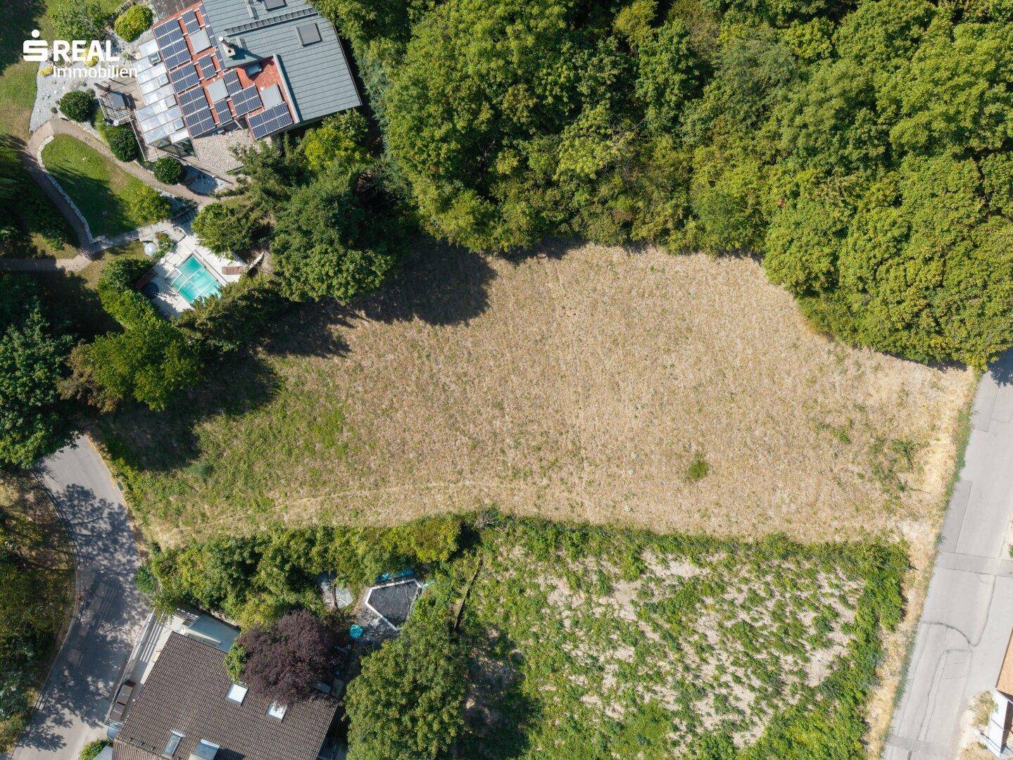 Direkte Draufsicht auf das weitläufige Grundstück, umgeben von Bäumen und Nachbarhäusern mit Pools.