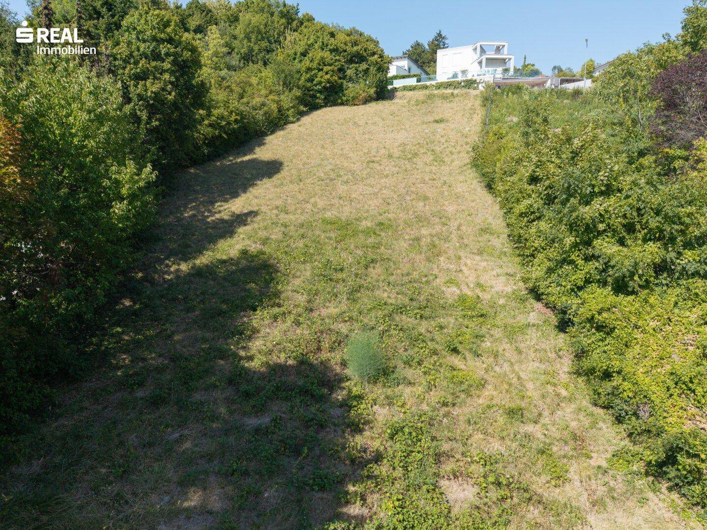 Blick über das leicht ansteigende, unbebaute Grundstück mit Gras und Büschen im Sonnenlicht.