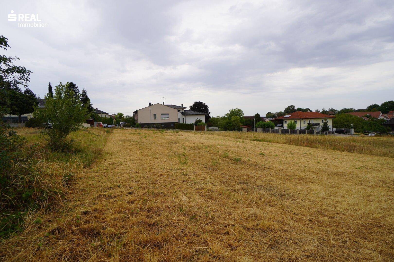 Trockenes Feld mit Blick auf Wohnhäuser am Horizont unter einem bedeckten Himmel.