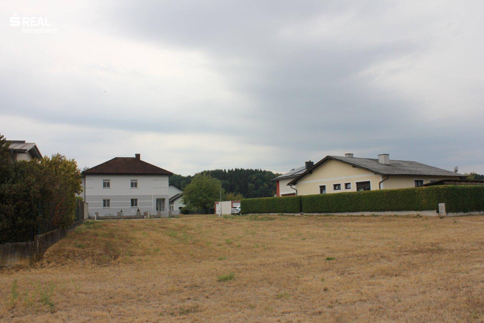 Trockenes Baugrundstück mit umliegenden Wohnhäusern und Heckenbegrenzung.