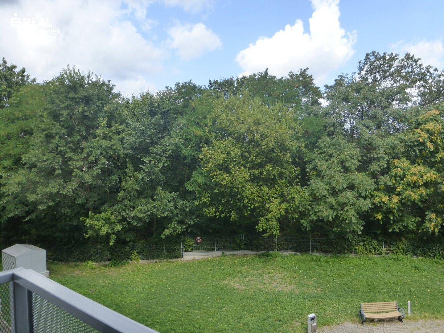 Weitläufiger Blick ins Grüne mit dichtem Baumbestand von einem Balkon aus.