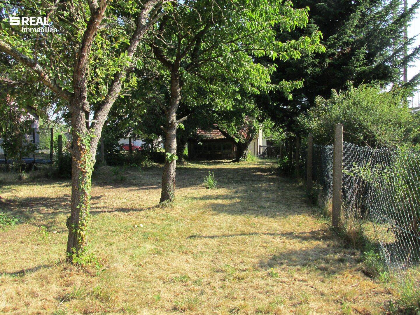 Garten mit Rasen, Bäumen und einem Zaun, der das Grundstück begrenzt.
