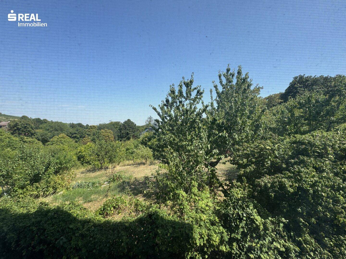 Ausblick vom Fenter