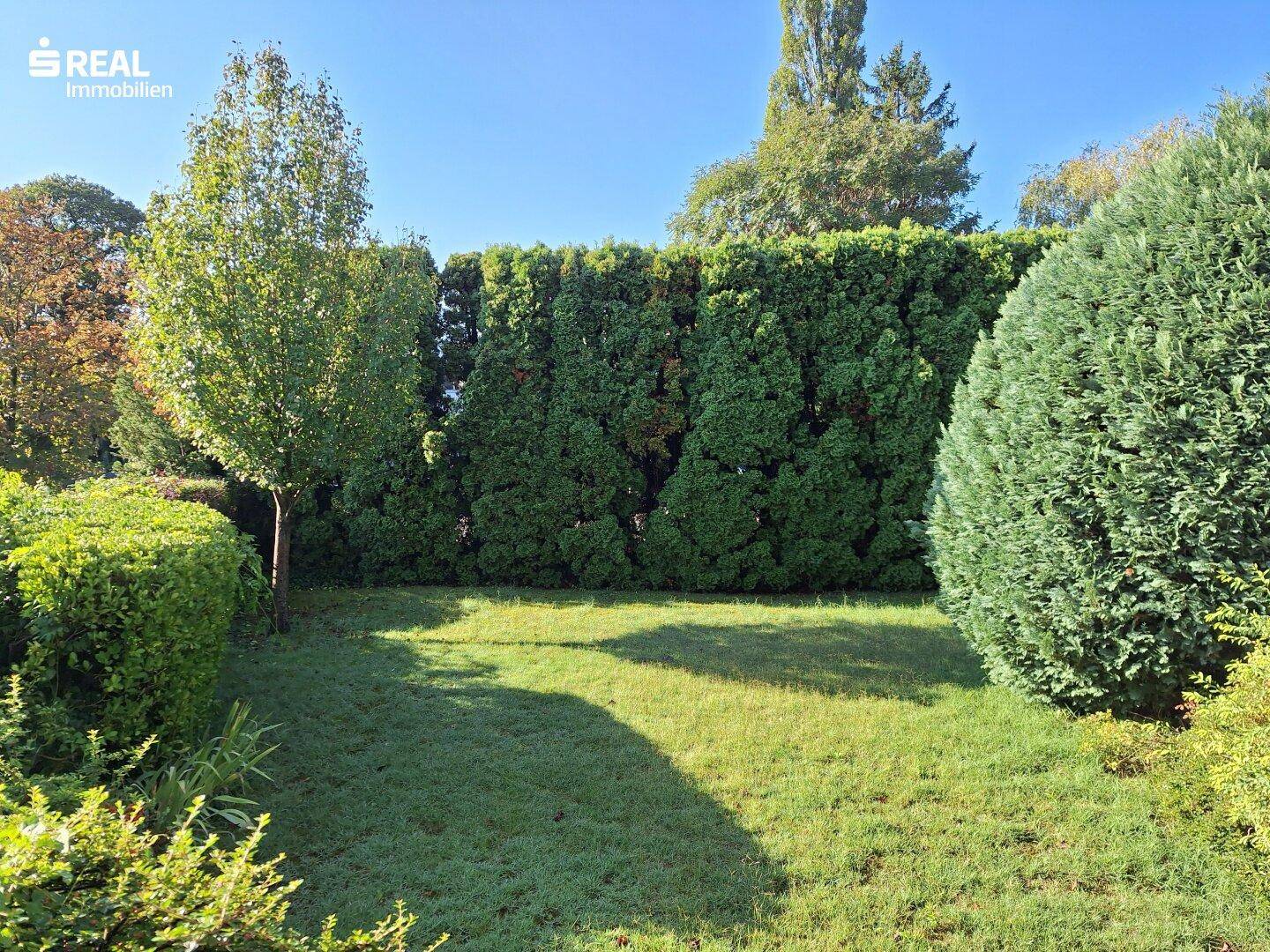 Gemeinschaftsgarten