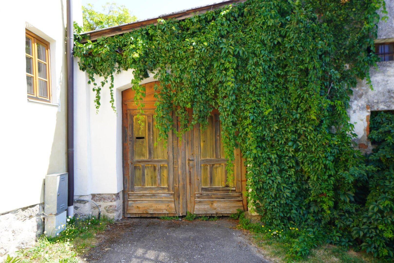 Rustikales Garagentor aus Holz, üppig bewachsen mit grünem Efeu, an einem Nebengebäude.