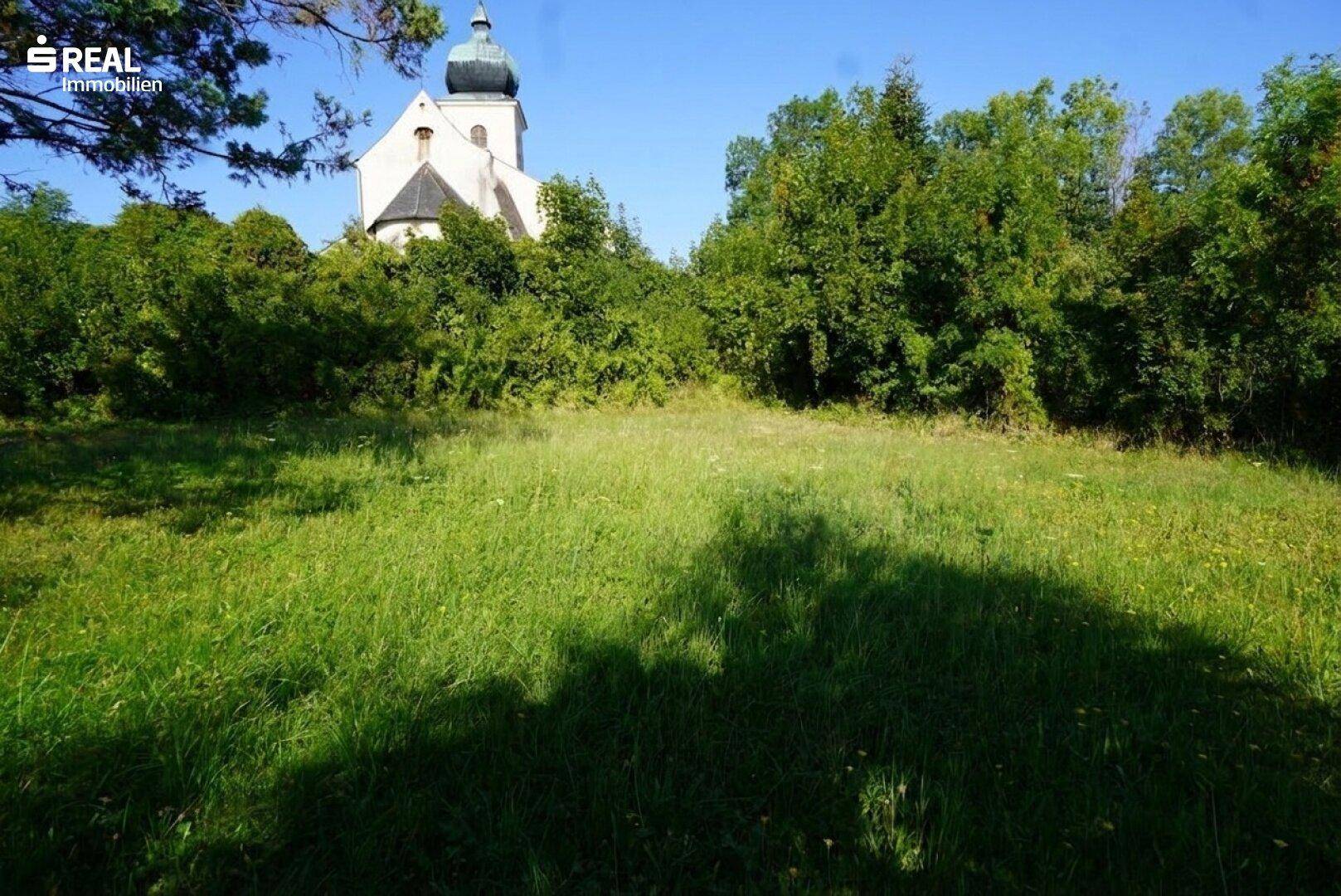 Grüne Wiese mit üppiger Vegetation und einem historischen Kirchturm im Hintergrund.