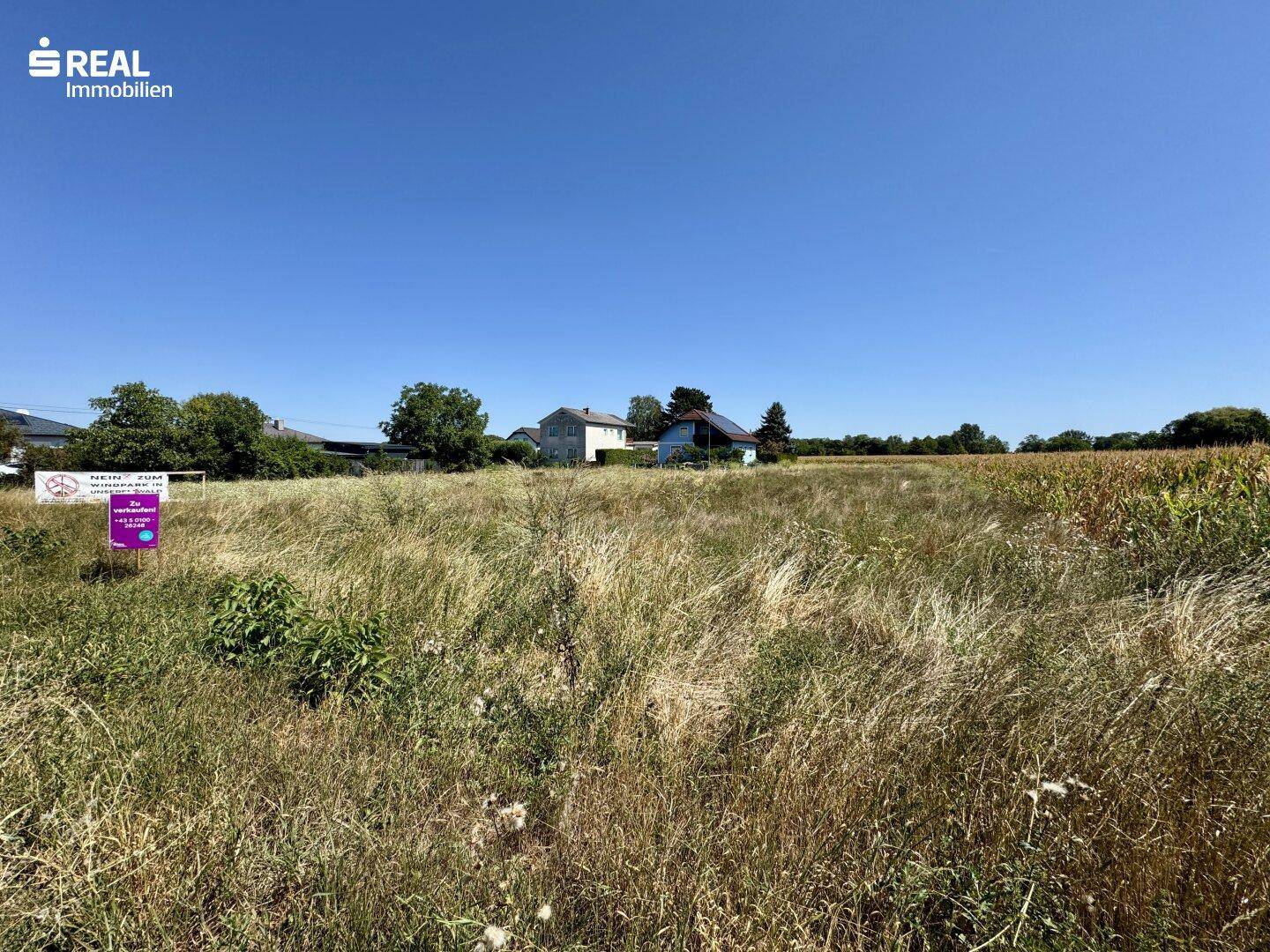 Weitläufiges Feld mit hohem Gras und vereinzelten Häusern in der Ferne unter klarem Himmel.
