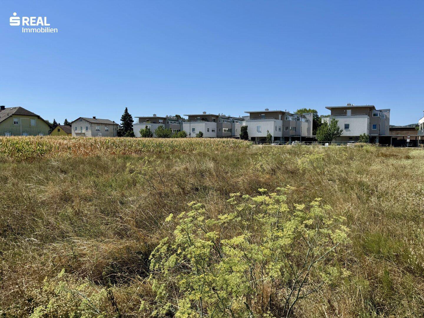 Weitläufiges Feld mit Blick auf moderne Wohngebäude in der Ferne unter klarem Himmel.