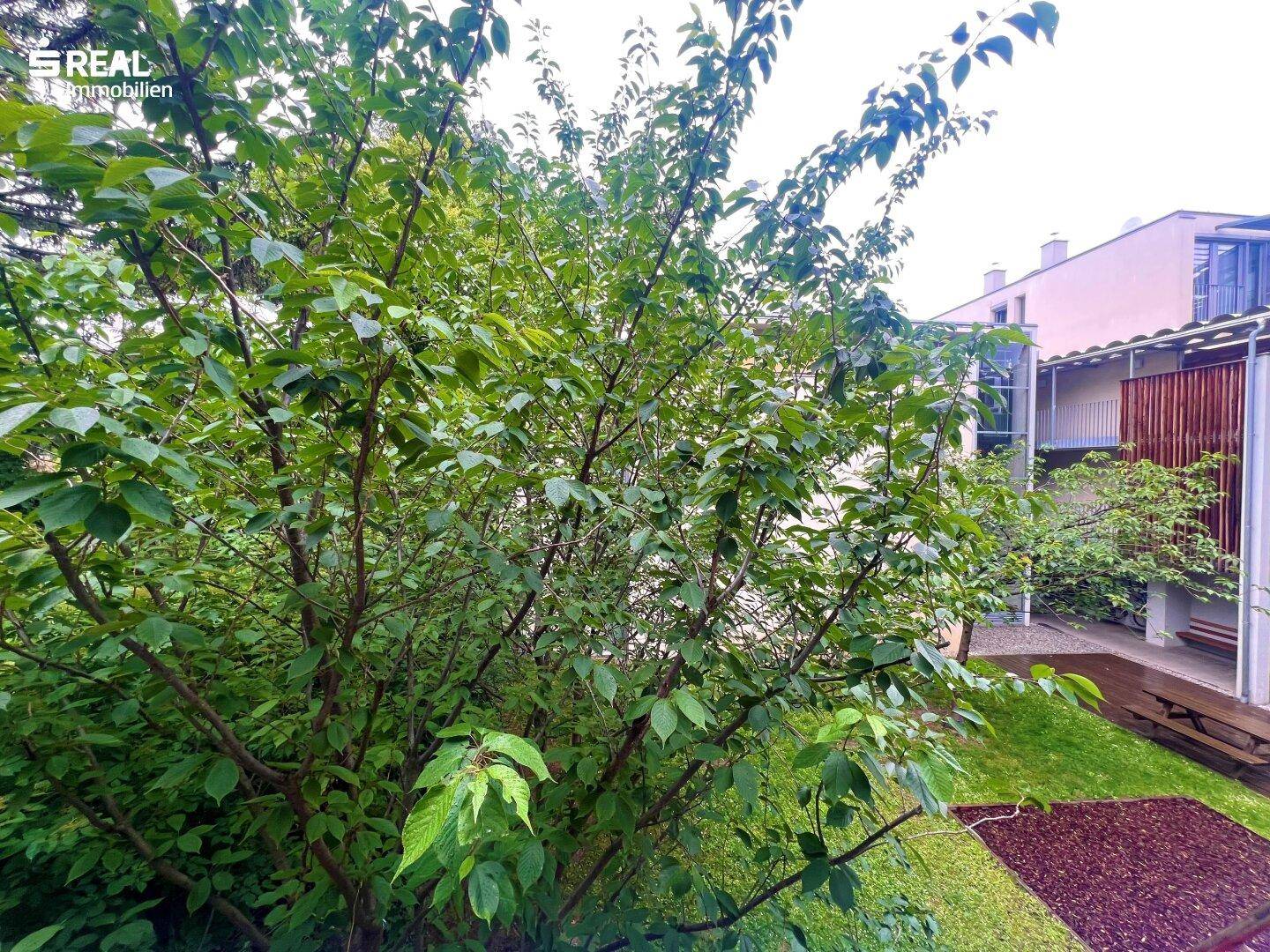 Wohnung – Wien, Mühlschüttel, Donaufeld - Ansicht 3