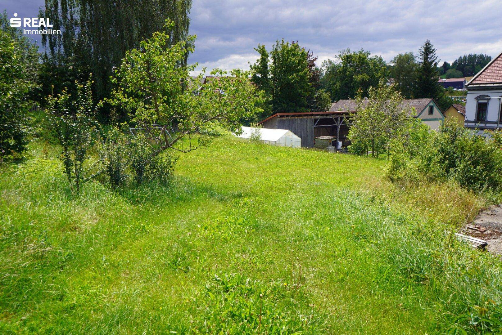 Weitläufige grüne Wiese mit Bäumen und ländlichen Gebäuden in der Ferne.