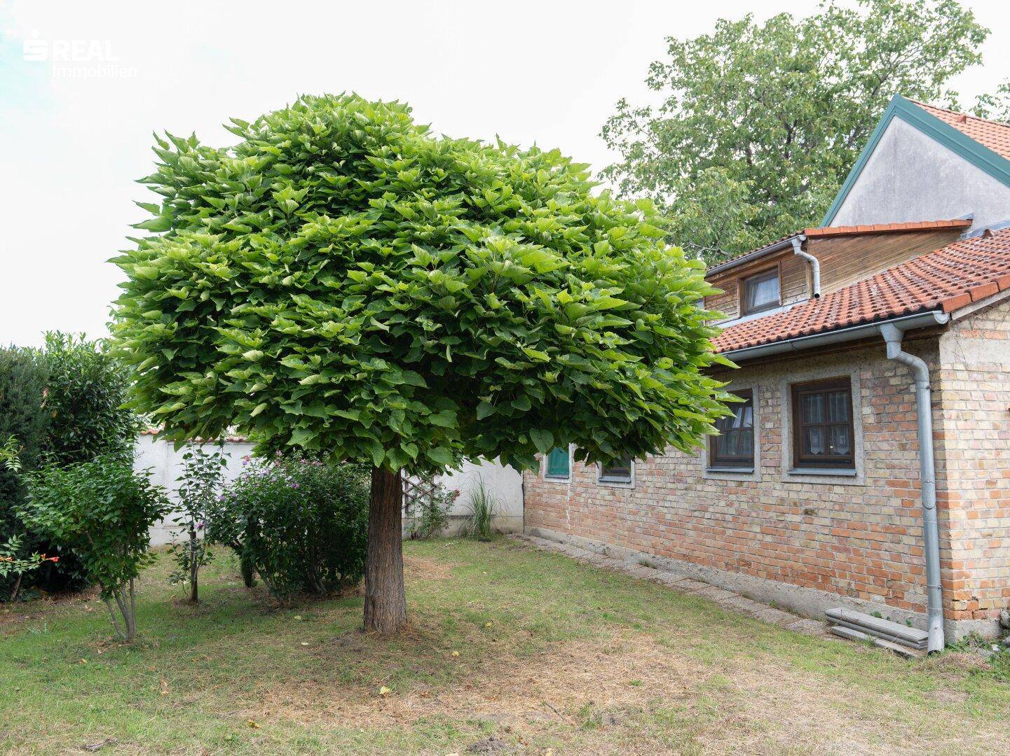 Slide 8