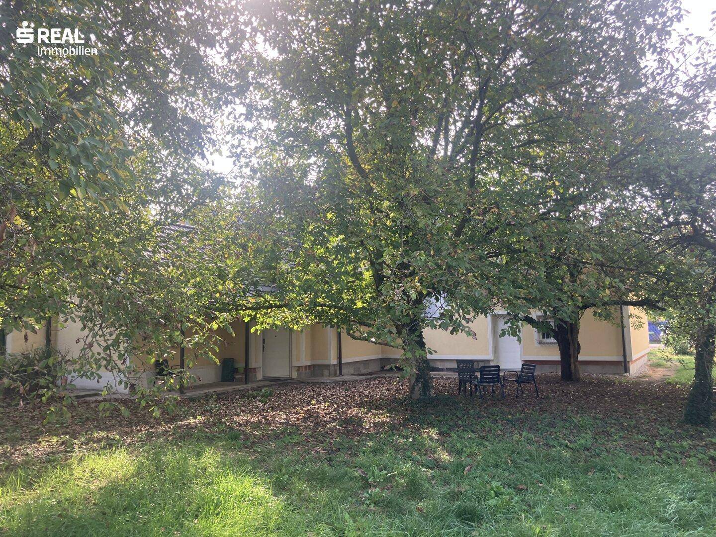 Garten 1