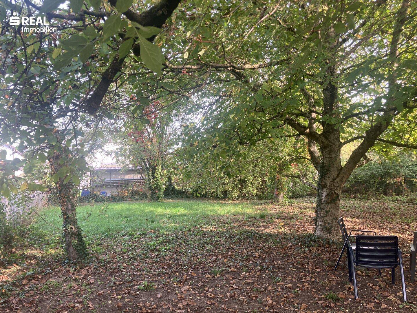 Garten 2