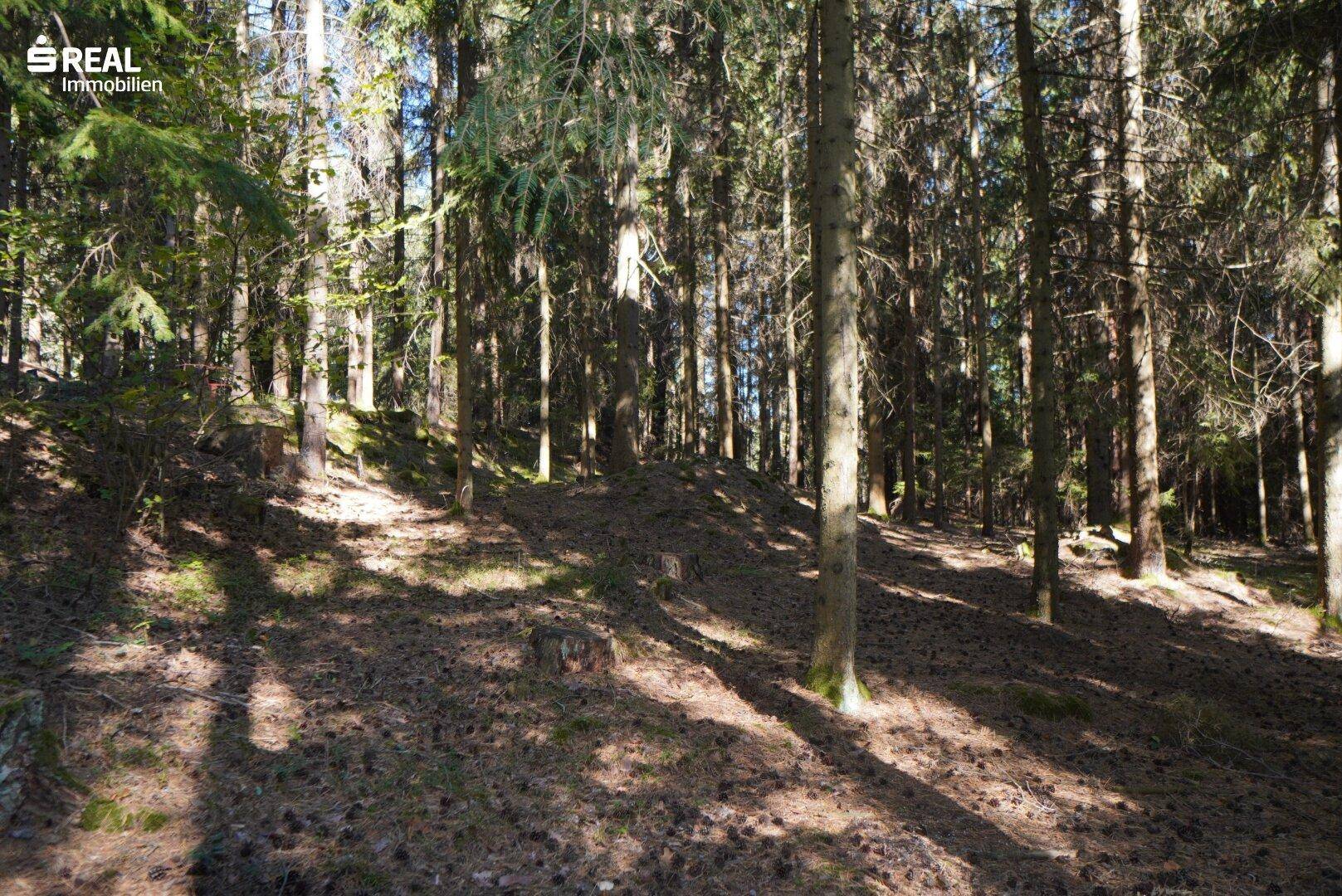 Slide 8