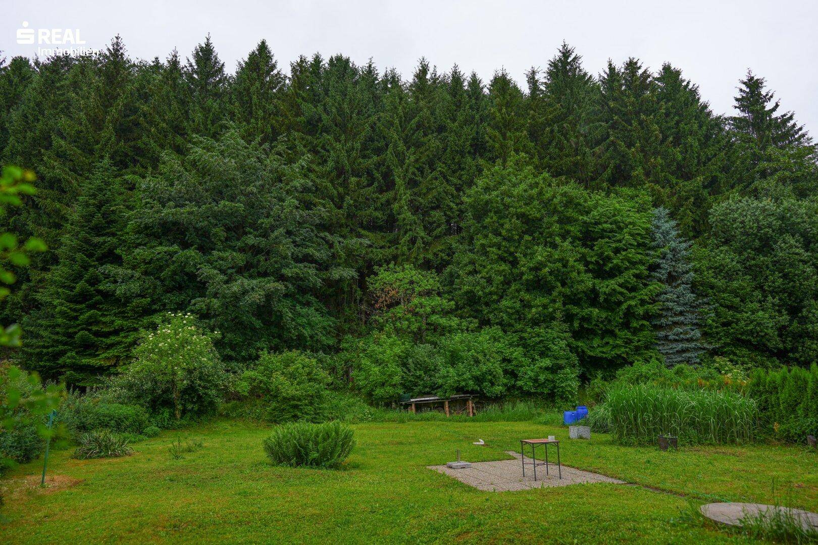 Ausblick