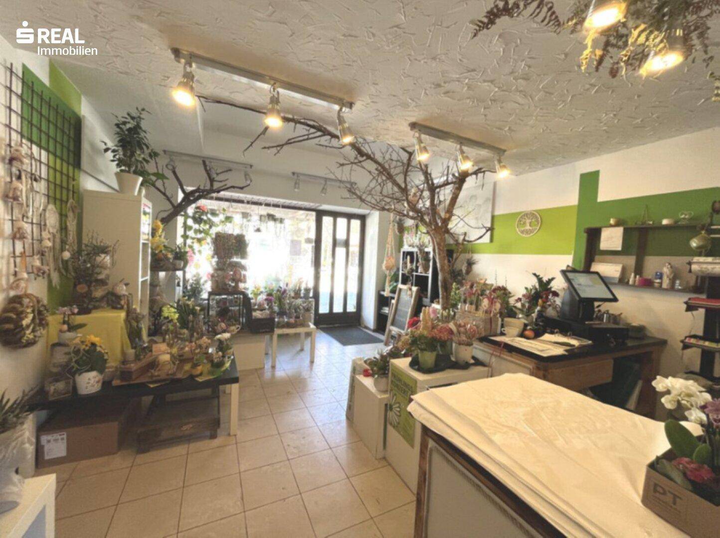 Haus – St. Aegyd am Neuwalde - Ansicht 3