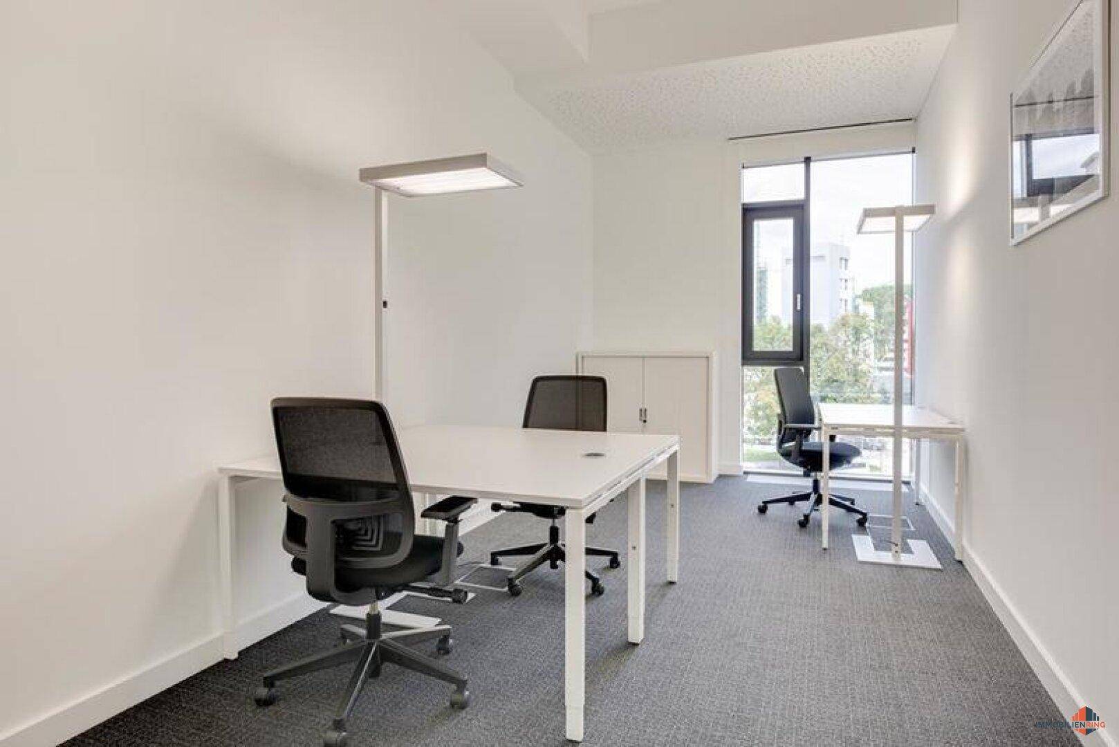 Helles und modernes Büro mit zwei Arbeitsplätzen, großen Fenstern und grauem Teppichboden.