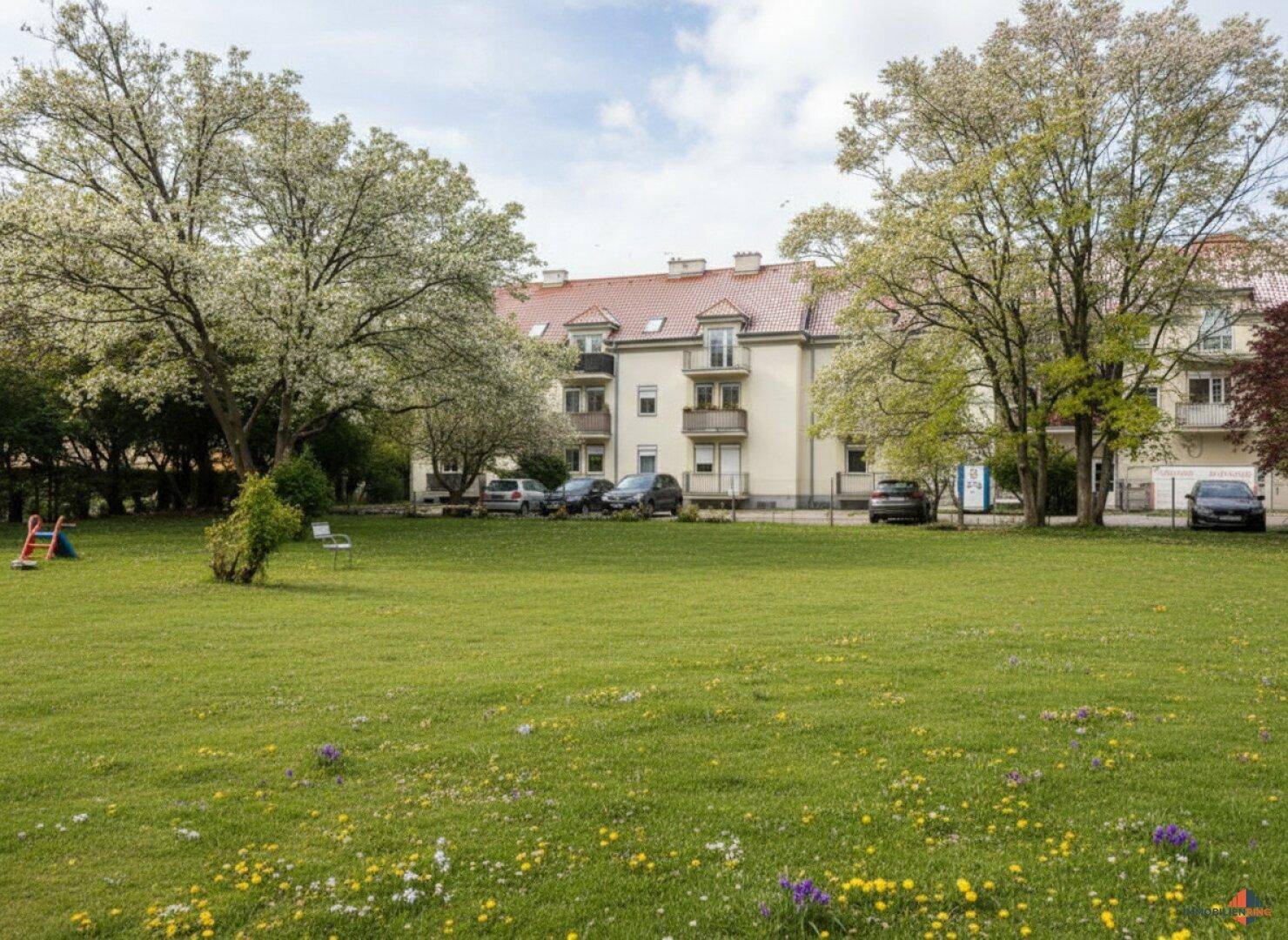 Weitläufige Grünfläche mit blühenden Bäumen und Spielgeräten vor dem Mehrfamilienhaus.