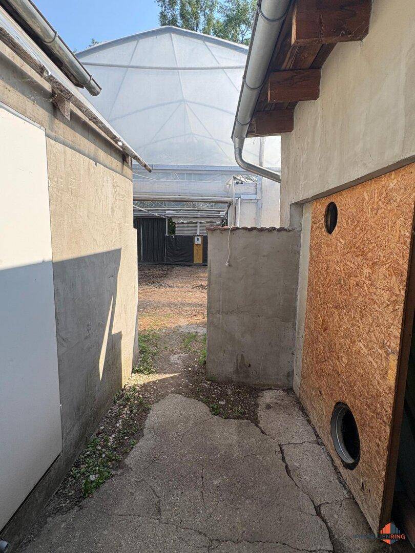 Schmaler Weg zwischen Gebäuden mit Blick auf ein großes Gewächshaus im Hintergrund.