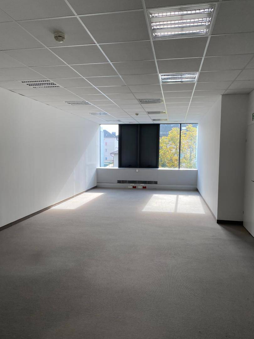 Helles, leeres Büro mit großen Fenstern, die viel Tageslicht hereinlassen, und einem grauen Vinylboden.