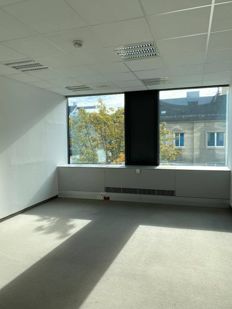 Geräumiges, helles Büro mit großen Fenstern und Teppichboden, das viel natürliches Licht erhält.