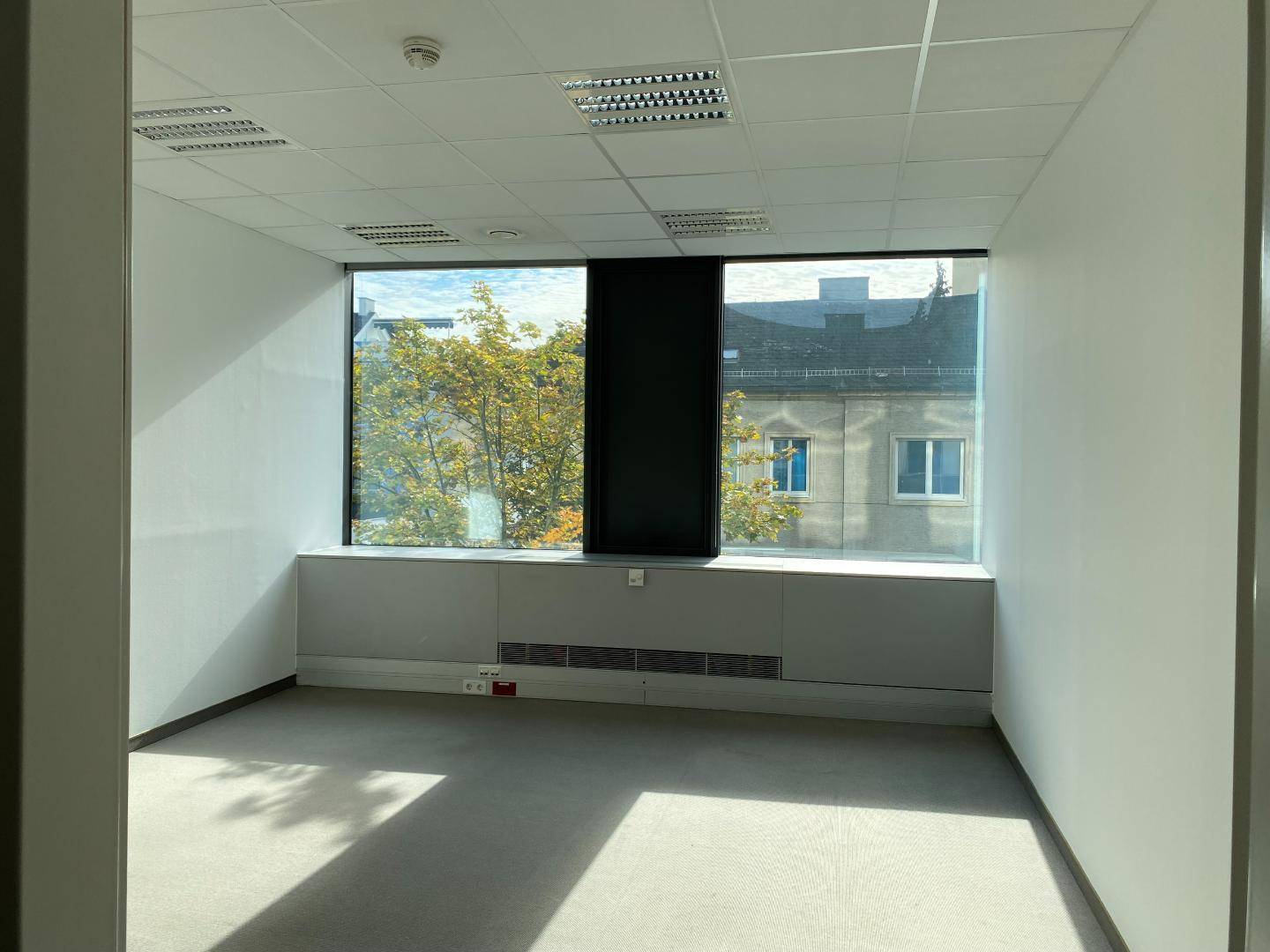 Helles Büro mit großen Fenstern, die einen Blick auf Bäume und ein Gebäude ermöglichen, und einem Teppichboden.