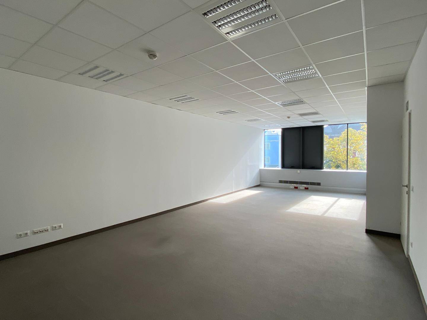 Geräumiges, leeres Büro mit großen Fenstern und einem hellgrauen Vinylboden, bereit für die Einrichtung.