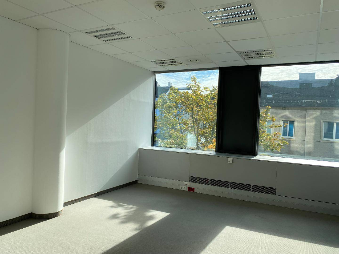 Helles Büro mit großen Fenstern, die einen Blick auf Bäume und Gebäude ermöglichen, und einem Teppichboden.