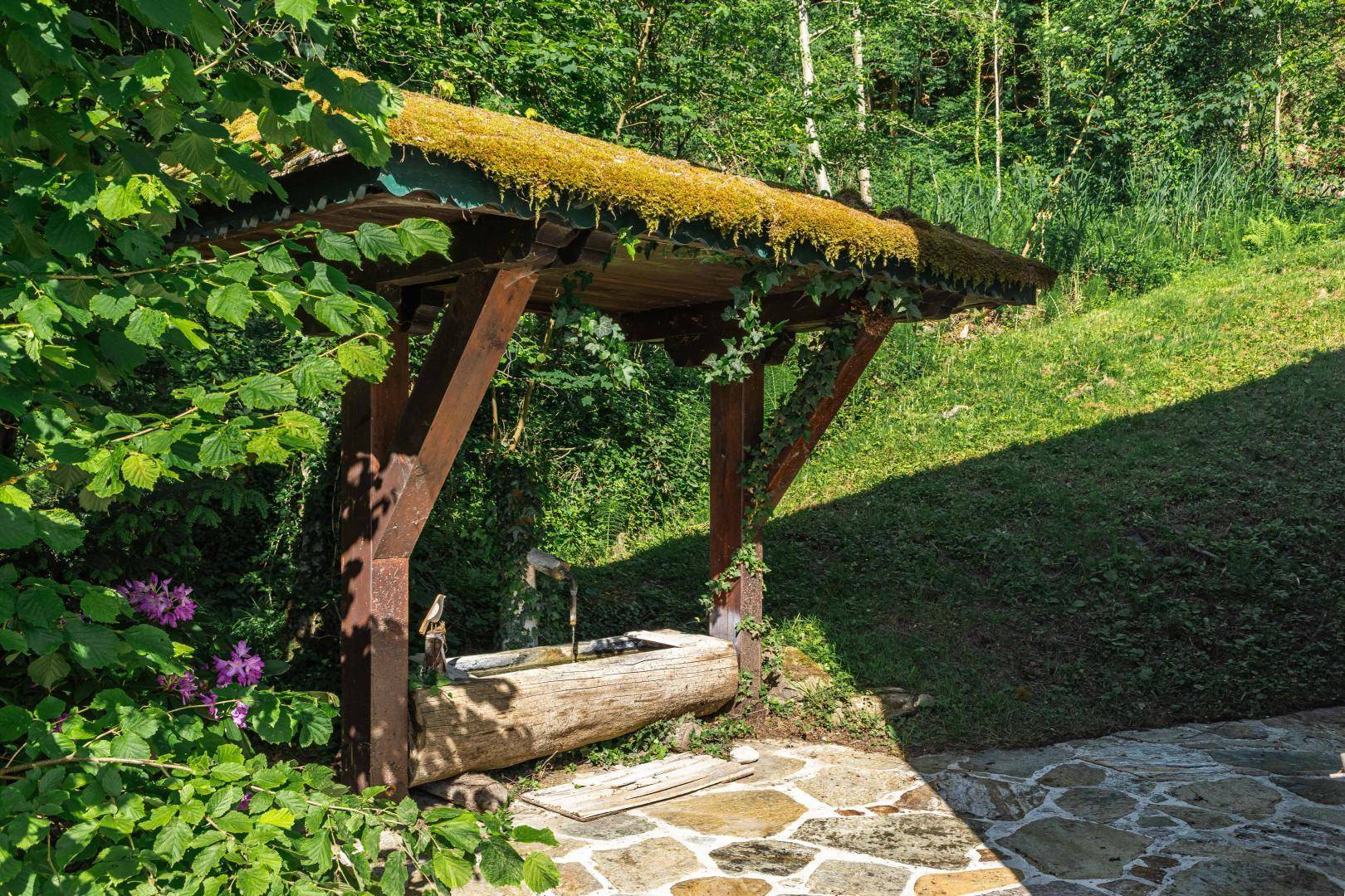 Brunnen